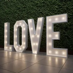 LED LOVE letters hire - Knot Just Flowers